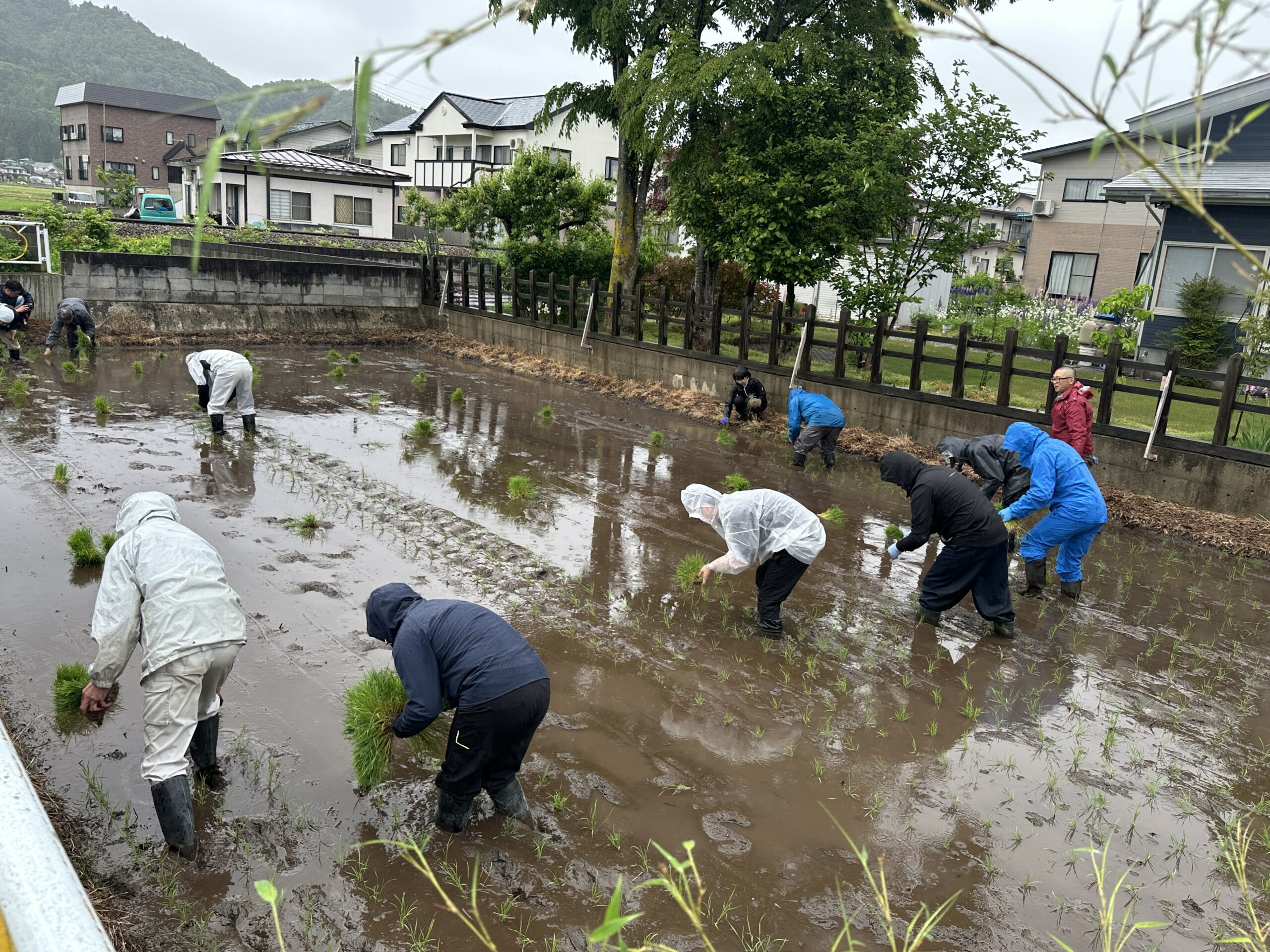 上杉神社　鷹山公藉田祭（お田植祭）