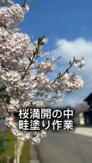 上杉家家訓 杉本家『未来への歩み』ブルーレイディスク＆杉本家絵はがき